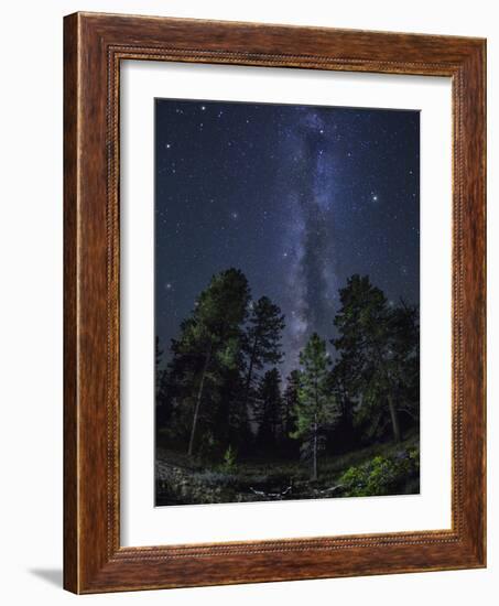 Woods in Bryce Canyon National Park at Night-Jon Hicks-Framed Photographic Print