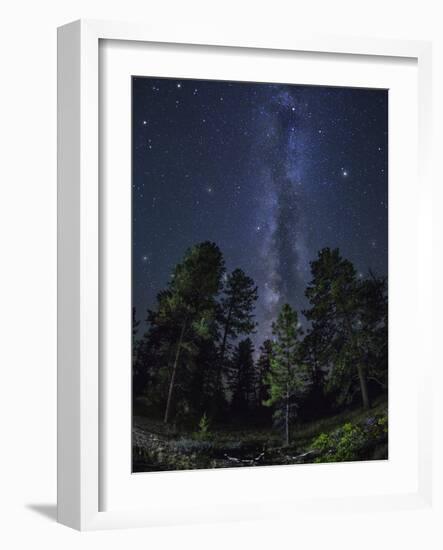 Woods in Bryce Canyon National Park at Night-Jon Hicks-Framed Photographic Print