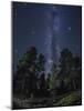 Woods in Bryce Canyon National Park at Night-Jon Hicks-Mounted Photographic Print