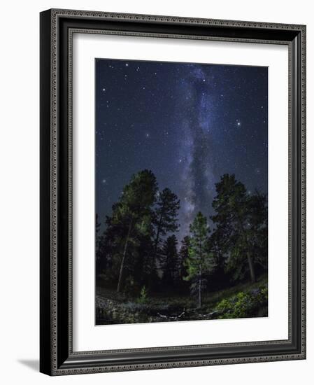 Woods in Bryce Canyon National Park at Night-Jon Hicks-Framed Photographic Print