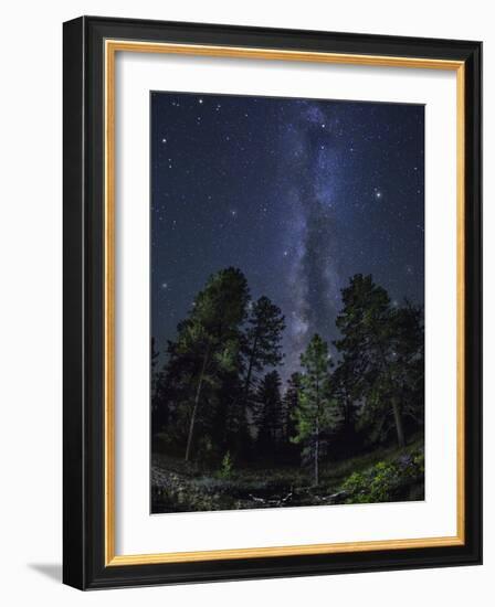 Woods in Bryce Canyon National Park at Night-Jon Hicks-Framed Photographic Print