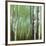 Woods Moment II-Damon-Framed Giclee Print