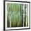 Woods Moment II-Damon-Framed Giclee Print