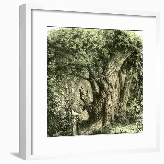 Woods Uk 19th Century-null-Framed Giclee Print