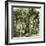 Woods Uk 19th Century-null-Framed Giclee Print