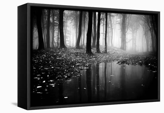 Woods-PhotoINC-Framed Premier Image Canvas