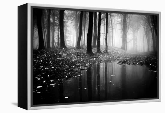 Woods-PhotoINC-Framed Premier Image Canvas