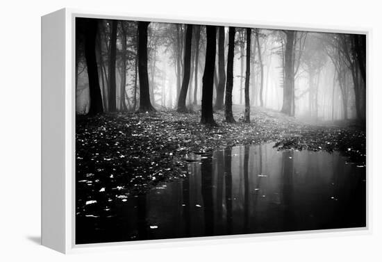 Woods-PhotoINC-Framed Premier Image Canvas