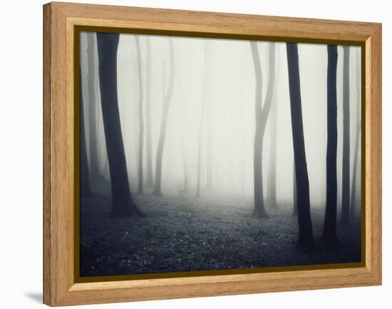 Woods-PhotoINC-Framed Premier Image Canvas