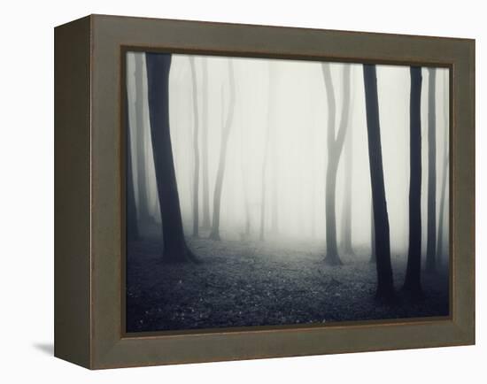 Woods-PhotoINC-Framed Premier Image Canvas