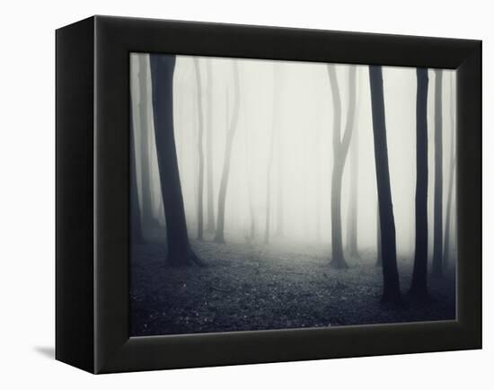 Woods-PhotoINC-Framed Premier Image Canvas