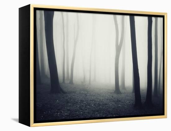 Woods-PhotoINC-Framed Premier Image Canvas