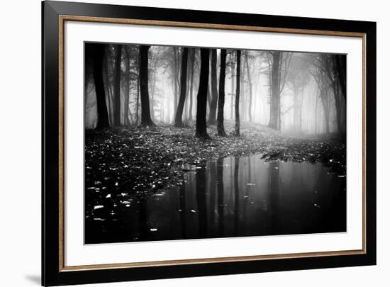 Woods-PhotoINC-Framed Photographic Print