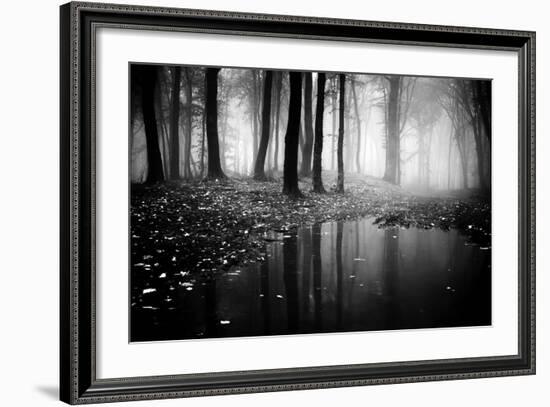 Woods-PhotoINC-Framed Photographic Print