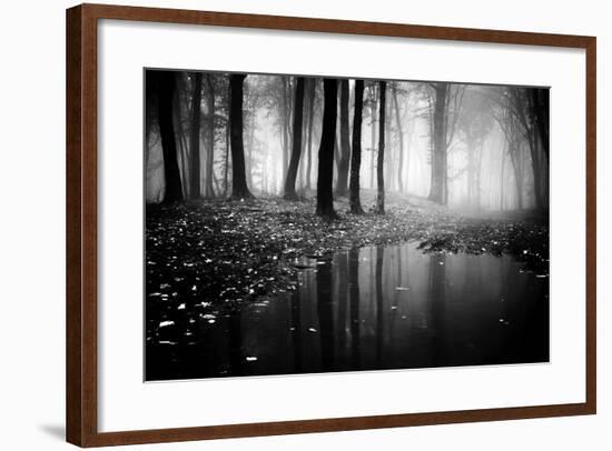 Woods-PhotoINC-Framed Photographic Print