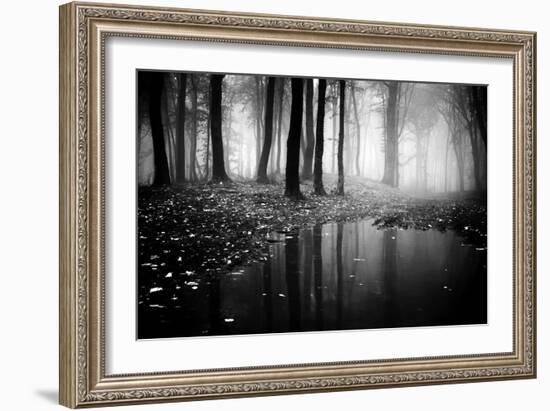 Woods-PhotoINC-Framed Photographic Print