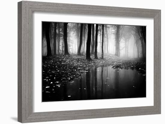 Woods-PhotoINC-Framed Photographic Print