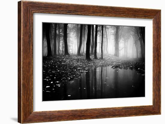Woods-PhotoINC-Framed Photographic Print