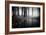 Woods-PhotoINC-Framed Photographic Print