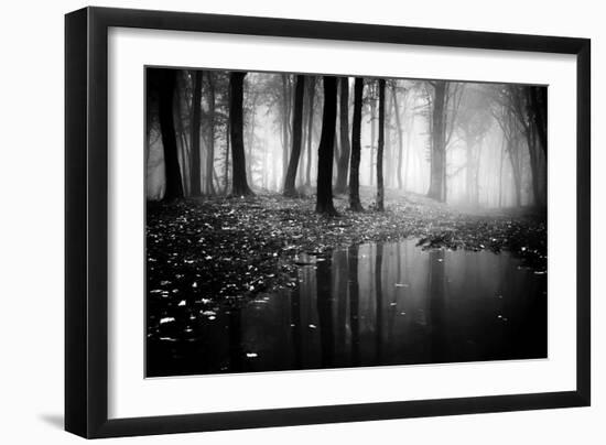 Woods-PhotoINC-Framed Photographic Print