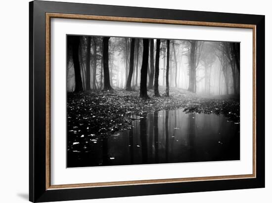 Woods-PhotoINC-Framed Photographic Print