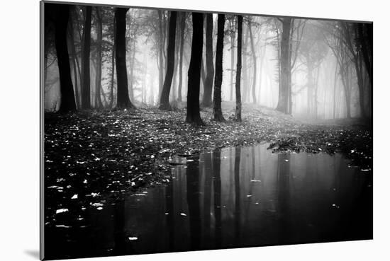 Woods-PhotoINC-Mounted Photographic Print
