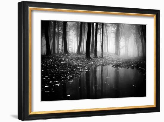 Woods-PhotoINC-Framed Photographic Print