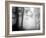 Woods-null-Framed Photographic Print