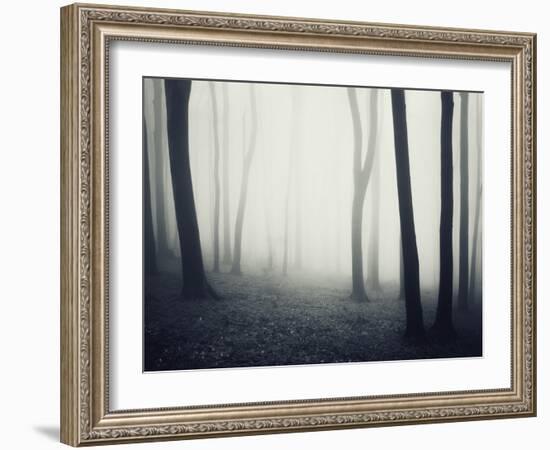 Woods-PhotoINC-Framed Photographic Print