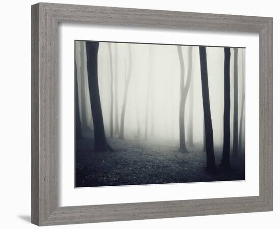 Woods-PhotoINC-Framed Photographic Print