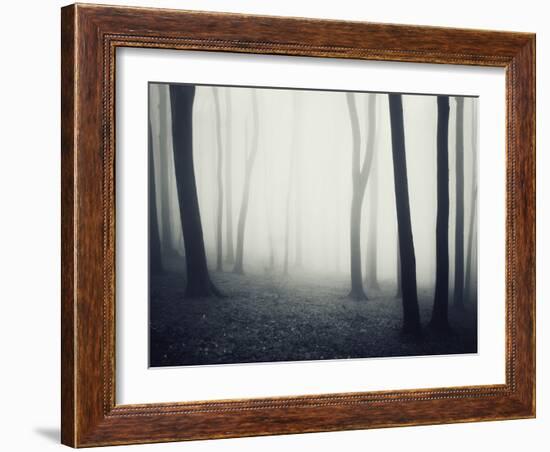 Woods-PhotoINC-Framed Photographic Print