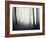 Woods-PhotoINC-Framed Photographic Print