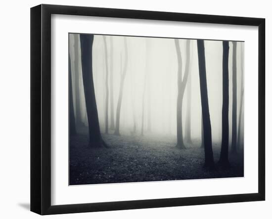 Woods-PhotoINC-Framed Photographic Print