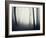 Woods-PhotoINC-Framed Photographic Print