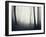 Woods-PhotoINC-Framed Photographic Print