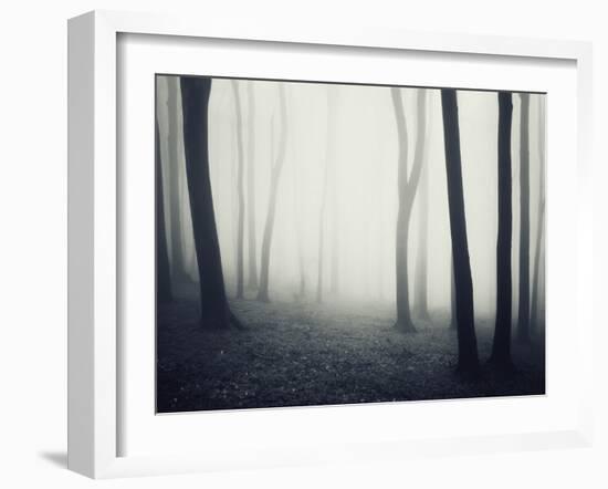 Woods-PhotoINC-Framed Photographic Print