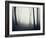 Woods-PhotoINC-Framed Photographic Print