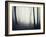 Woods-PhotoINC-Framed Photographic Print