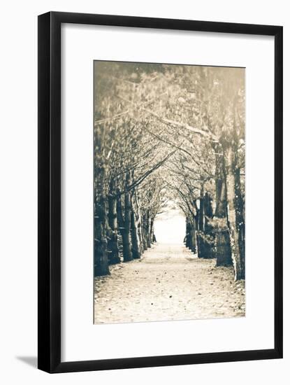 Woods-Kelly Poynter-Framed Photographic Print