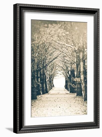 Woods-Kelly Poynter-Framed Photographic Print