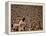 Woodstock, 1970-null-Framed Stretched Canvas