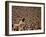 Woodstock, 1970-null-Framed Photo