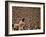 Woodstock, 1970-null-Framed Photo