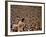 Woodstock, 1970-null-Framed Photo