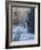 Woodstock Dawn-Bruce Dumas-Framed Giclee Print