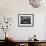 Woodstock-Bill Eppridge-Framed Premium Photographic Print displayed on a wall