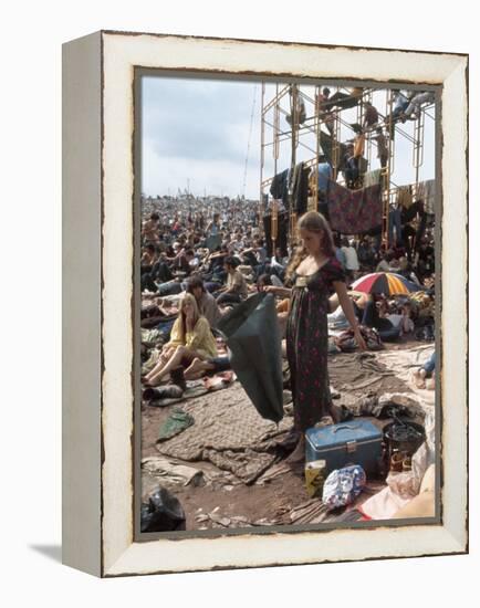 Woodstock-null-Framed Premier Image Canvas