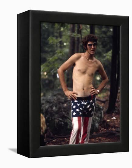 Woodstock-null-Framed Premier Image Canvas