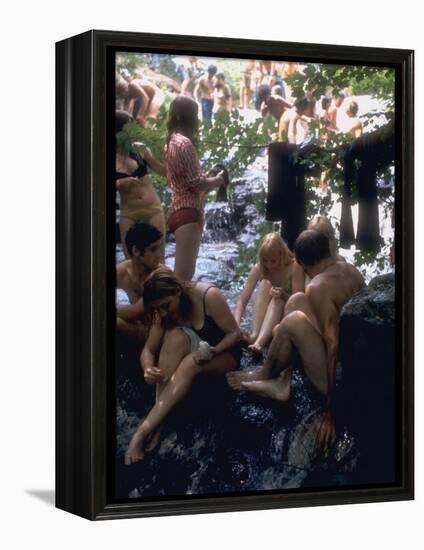 Woodstock-null-Framed Premier Image Canvas