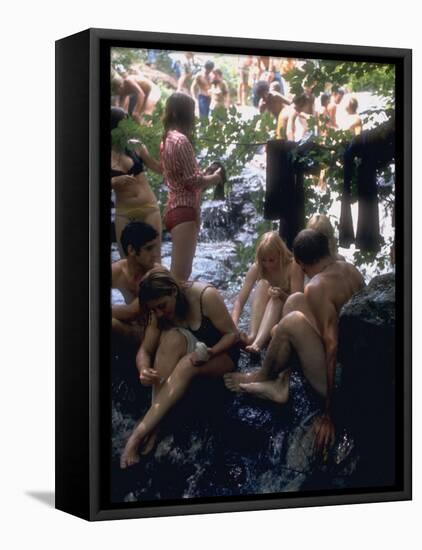 Woodstock-null-Framed Premier Image Canvas